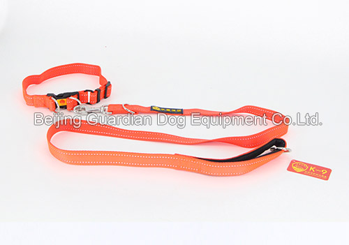 Police Professional Leash for Police with collar, Steel Hook