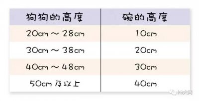 适合的才是最好的