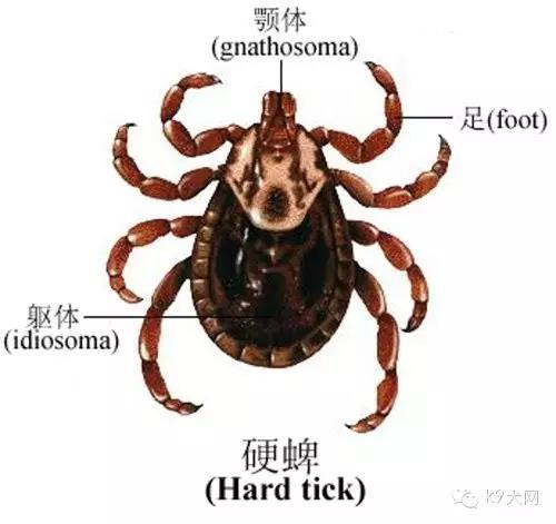 微信图片_20181225083539.jpg